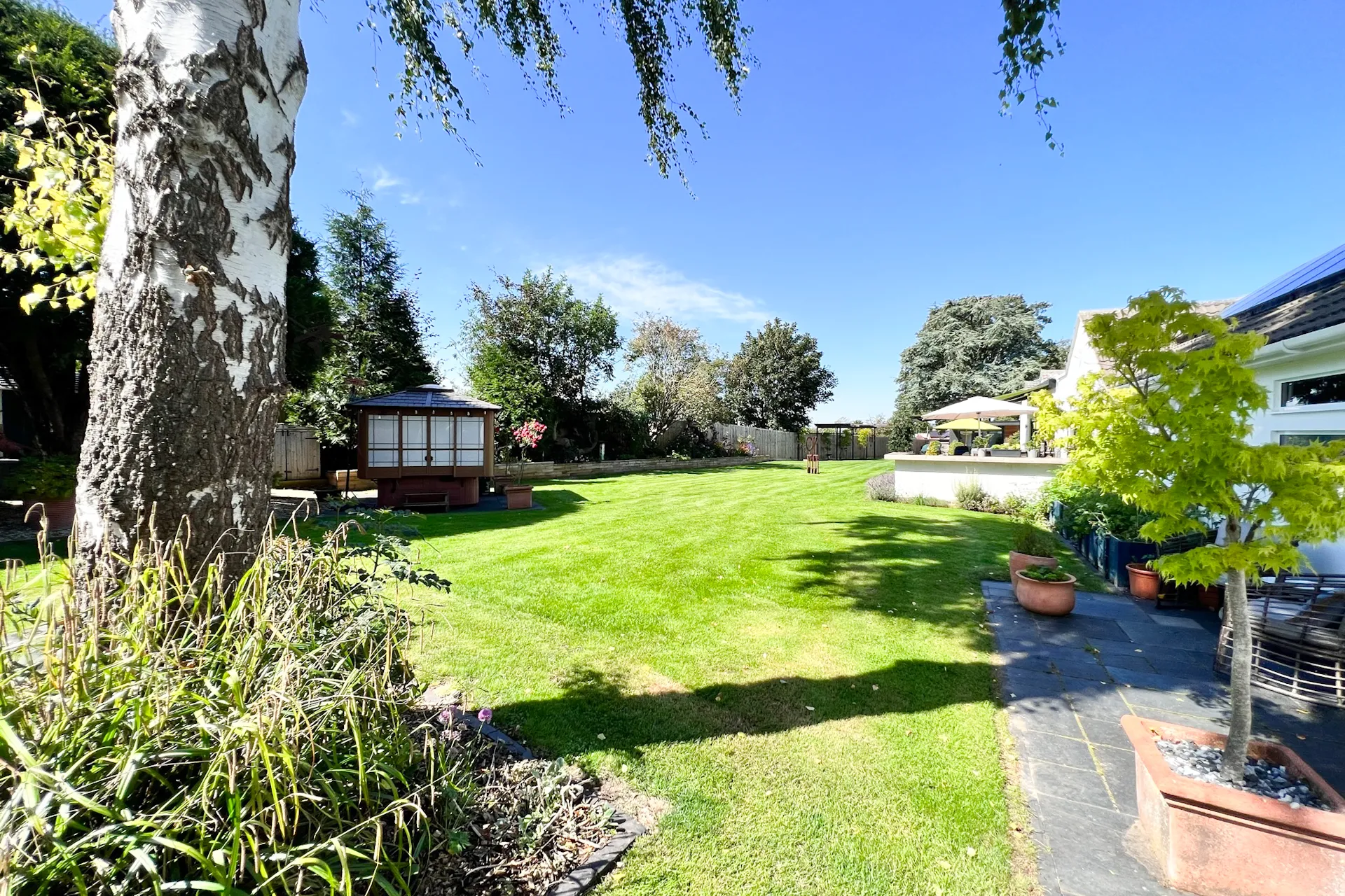 Garden 1